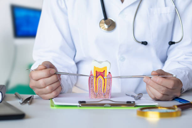 Best Emergency Dental Care for Sports Injuries in Scotchtown, NY
